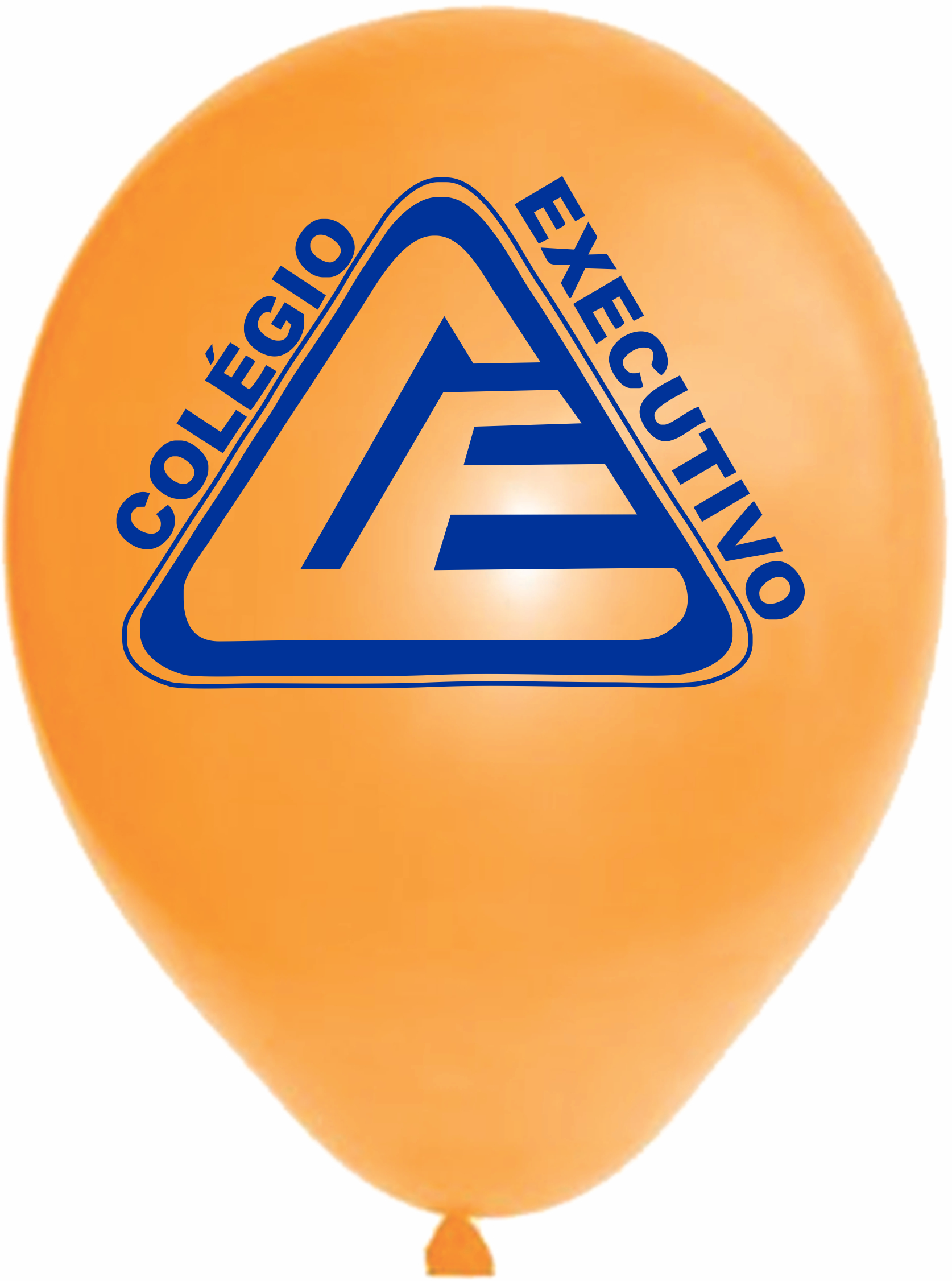 Colégio Executivo