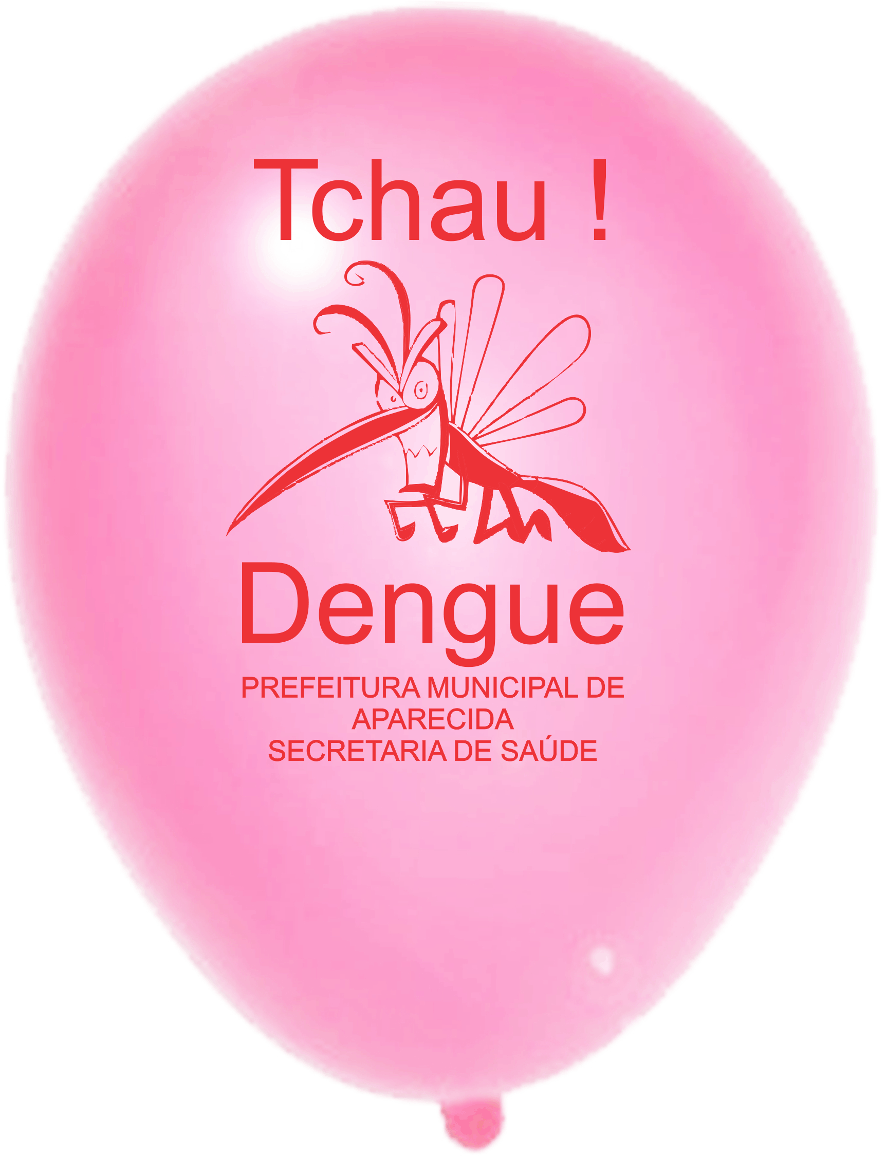 Prefeitura de Aparecida - Dengue (2)